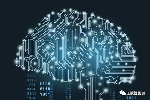 貝貝網(wǎng)的場(chǎng)景革命 創(chuàng)新升級(jí)如何重塑網(wǎng)絡(luò)消費(fèi)生態(tài)